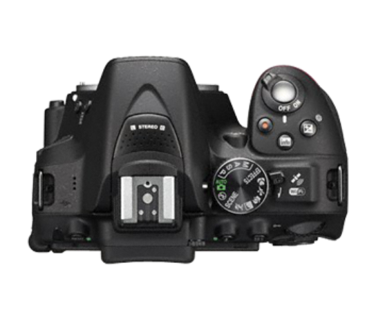 placeholder_image placeholder_image